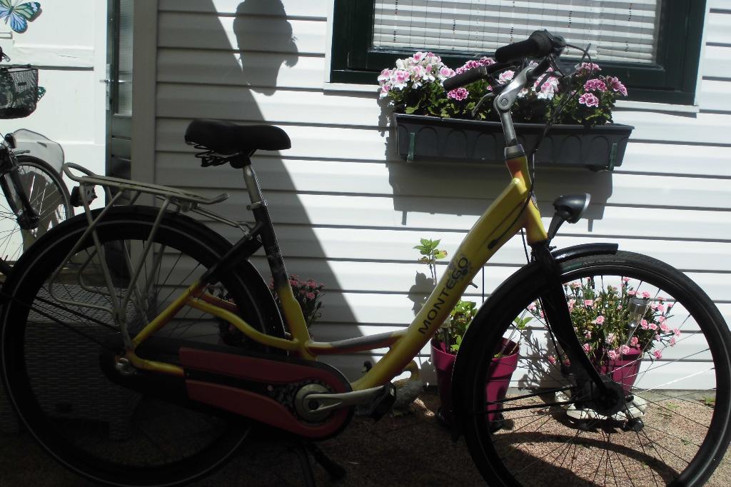een dames fiets met 3 versnellingen, Versnellingen, 56 cm of meer, Zo goed als nieuw, Trommelrem