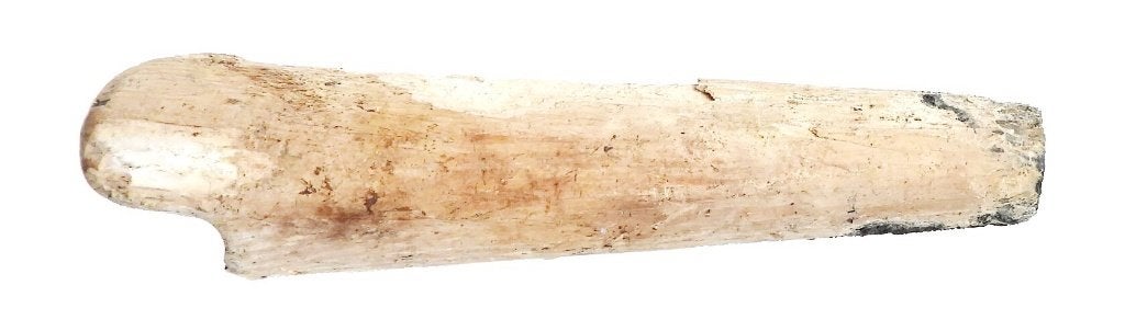 Mesheft been l=90 b=20,8 x 12,6mm Hoorn    a327, Ophalen of Verzenden