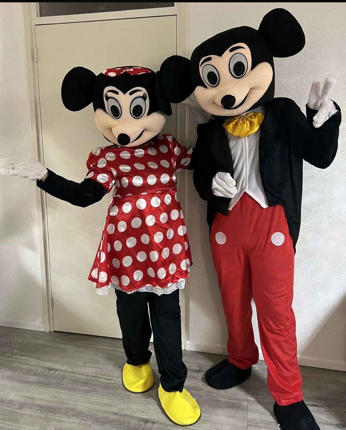 Mickey en Minnie Mouse kostuums - Perfect voor elk feest!, Ophalen of Verzenden, Zo goed als nieuw, Pak of Jurk