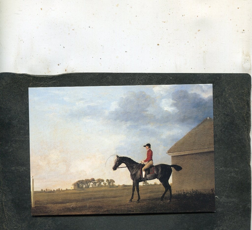 Ansicht George Stubbs - Gimcrack with John Pratt up on, Verzenden, 1980 tot heden, Ongelopen, Overige thema's
