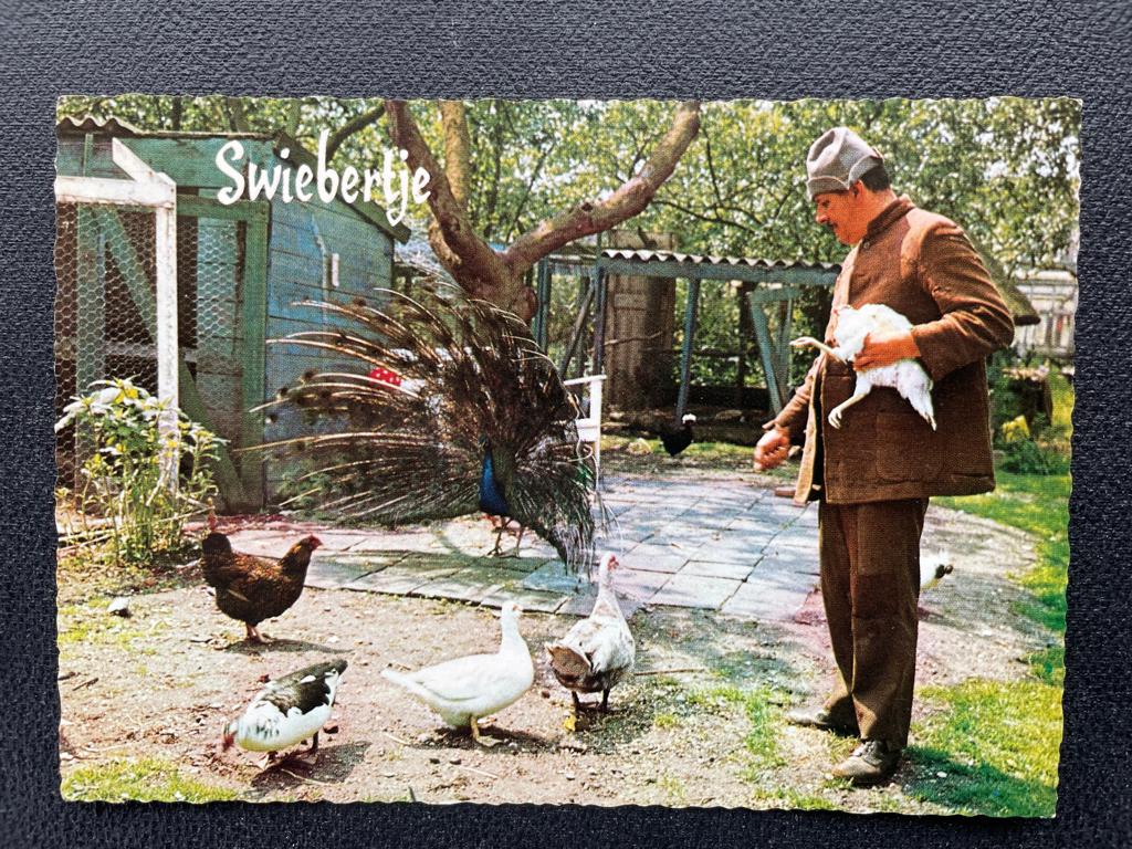 ansichtkaart / kaart van Swiebertje 5., Verzenden, 1960 tot 1980, Sterren en Beroemdheden