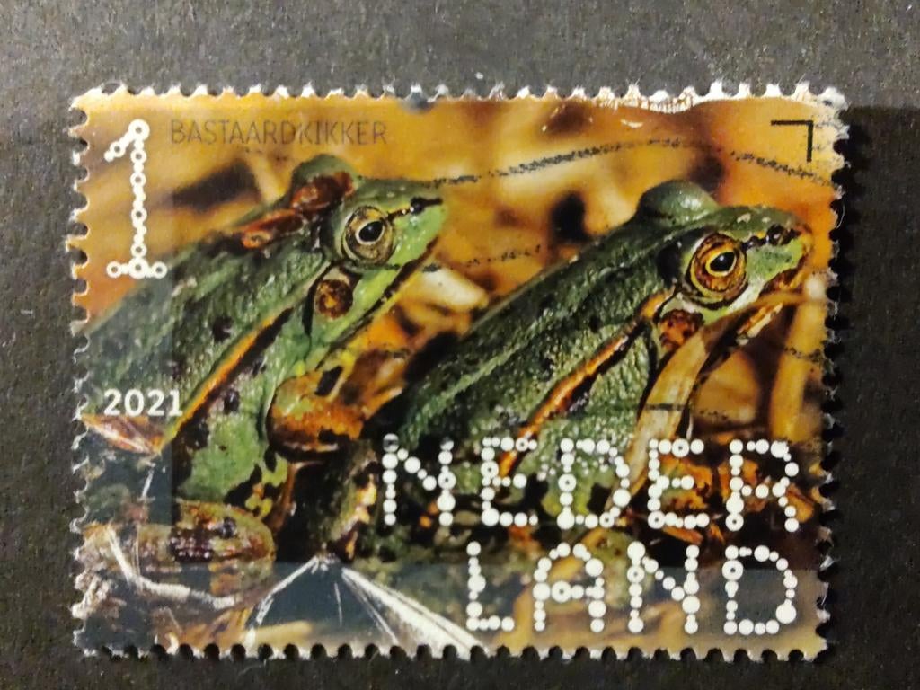 3945 bastaard kikker 2021 beleef de natuur, Postzegels en Munten, Postzegels | Nederland, Ophalen of Verzenden