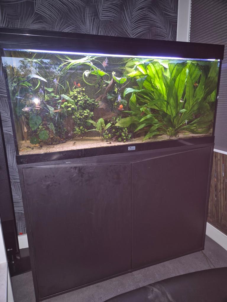 Aquatlantis aquarium Volga 180, Dieren en Toebehoren, Vissen | Aquaria en Toebehoren, Ophalen, Aquatlantis, Inclusief deksel, Gevuld zoetwateraquarium