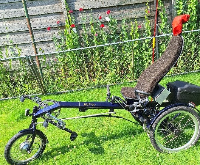 Te koop: Ligfiets met 3 wielen en bagagebox, Gebruikt, Velgrem, Onderstuur, Ophalen
