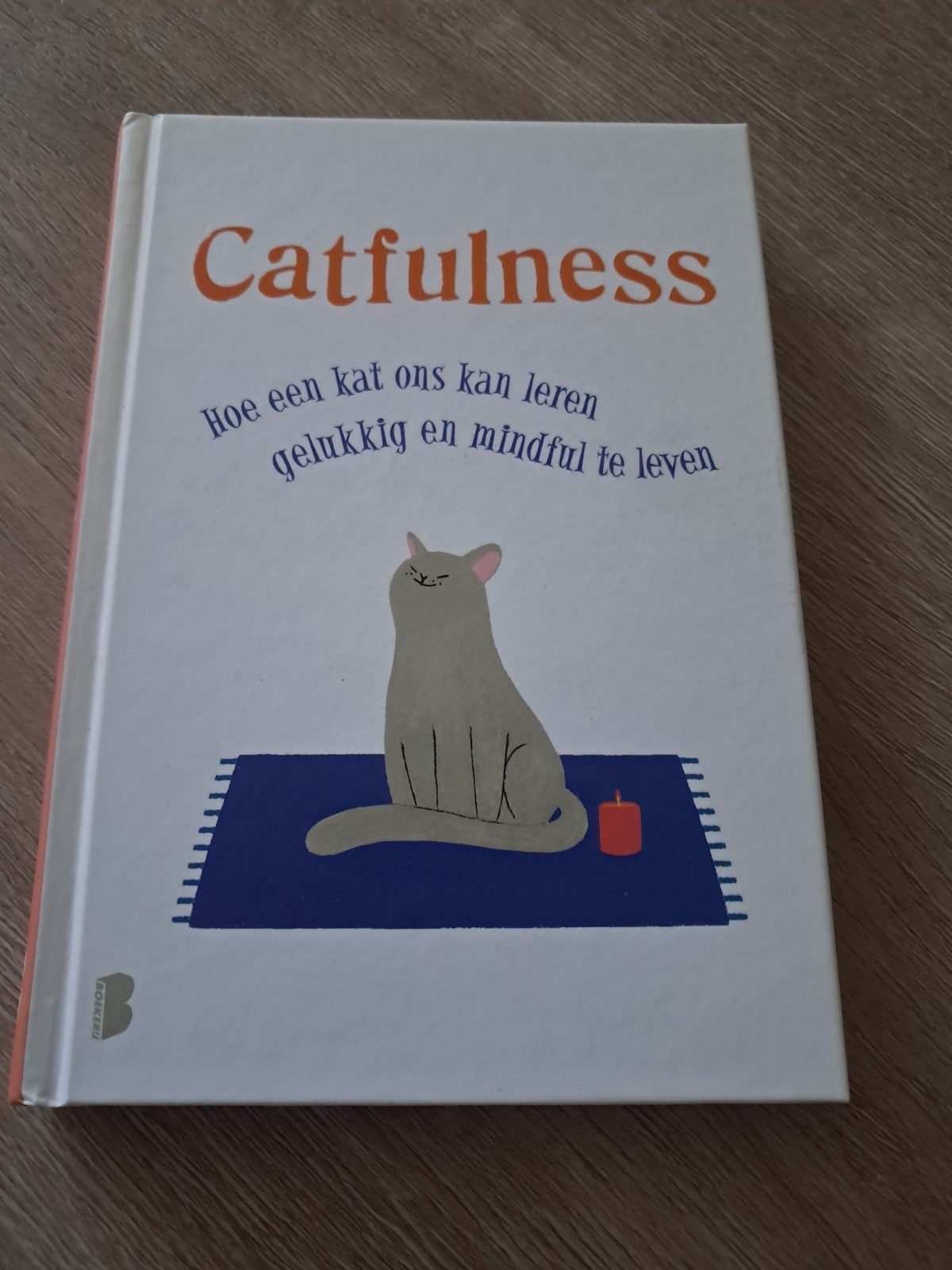 Paolo Valentino - Catfulness, Persoonlijkheidsleer, Ophalen of Verzenden, Zo goed als nieuw, Paolo Valentino