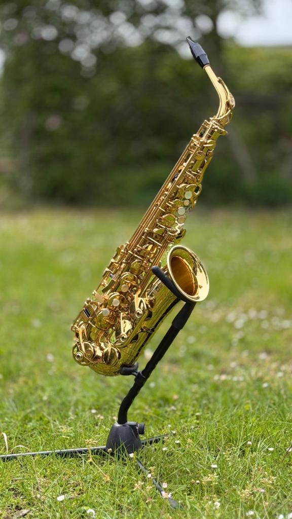 Selmer 80 Super Action Serie 2 Altsaxofoon, Ophalen of Verzenden, Gebruikt, Alt