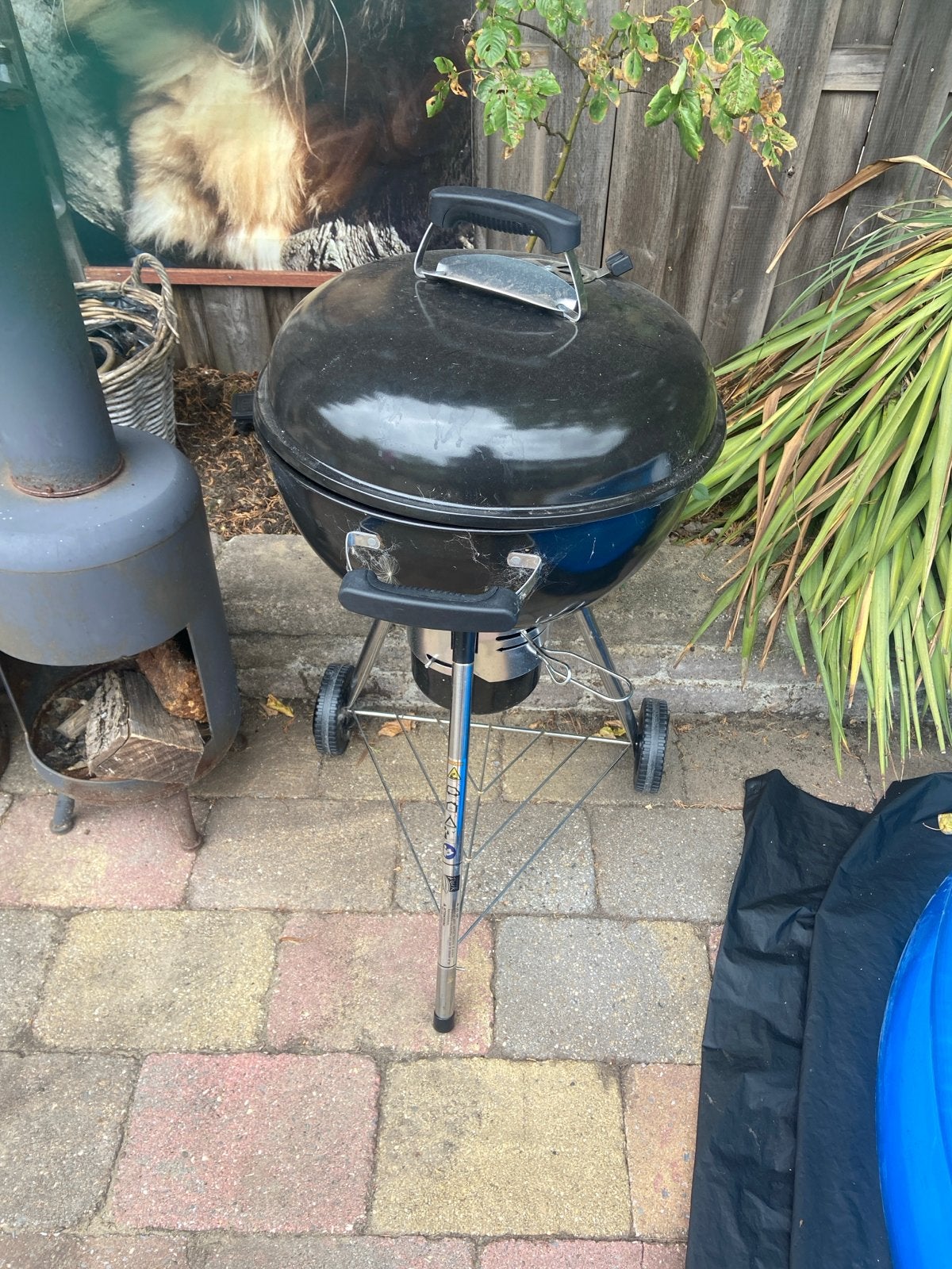 Gebruikte Kogelbarbecue op wielen - Perfect voor de zomer!, Ophalen, Gebruikt