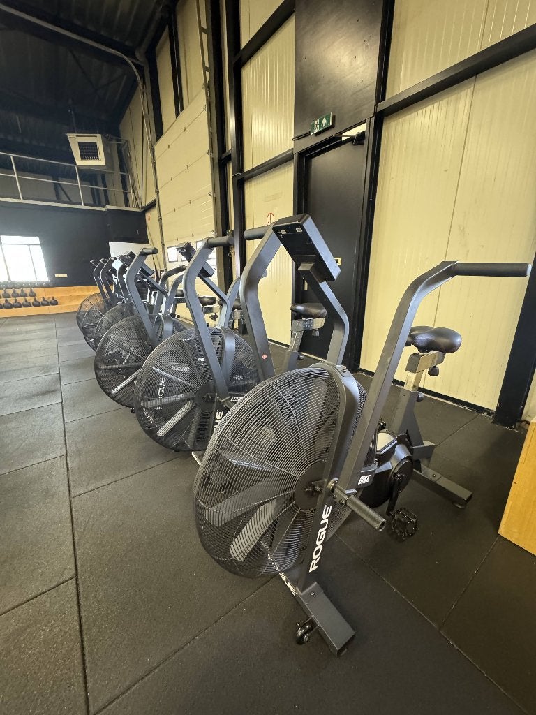 Rogue Echo Bike v3.0 inclusief wind guard v3 (6 stuks), Sport en Fitness, Ophalen, Zo goed als nieuw, Airbike