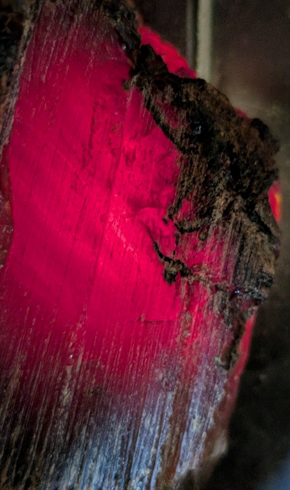 Ruwe Amber met houtstructuur zeldzaam, Verzenden, Fossiel