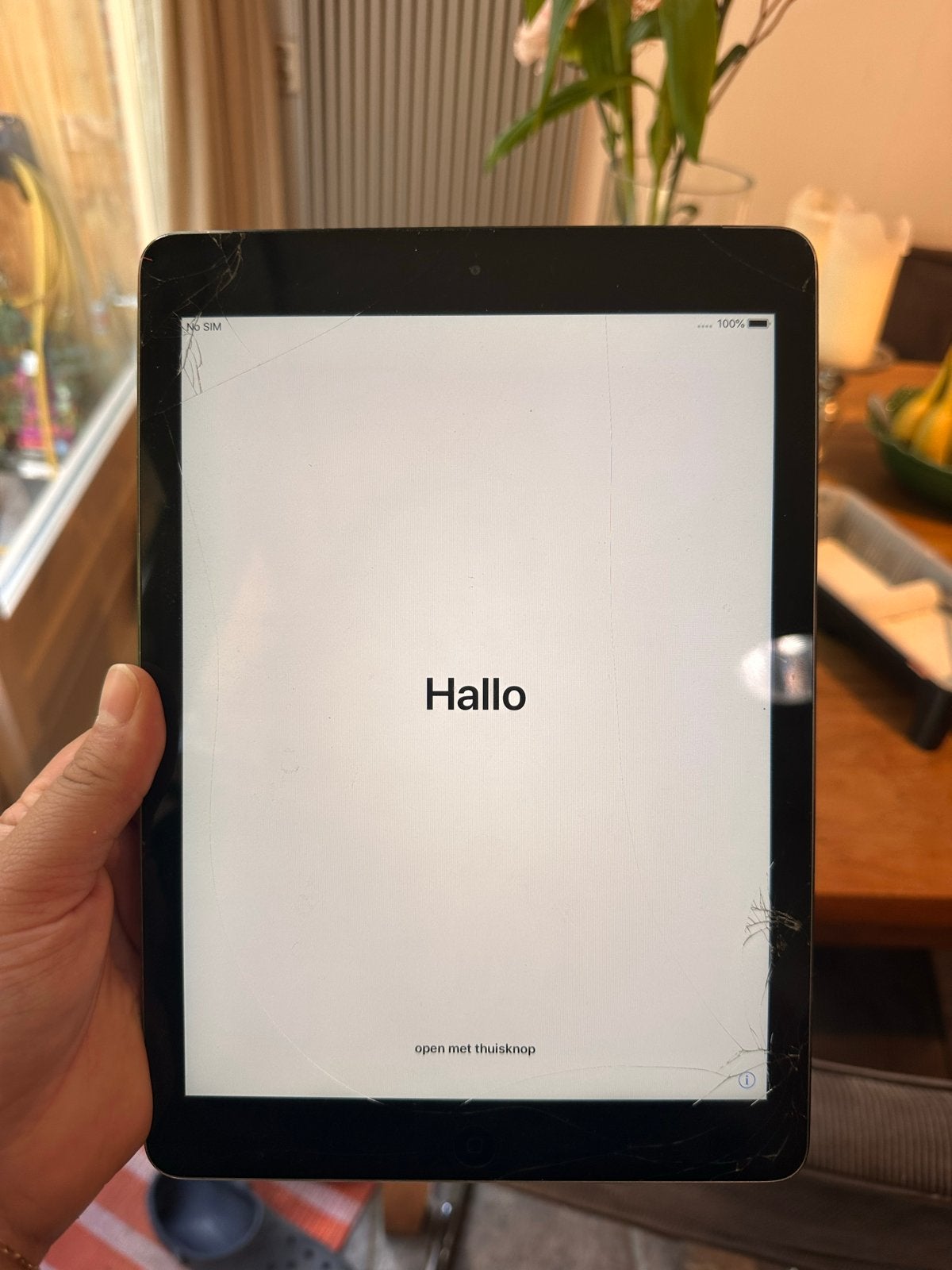 Oude iPad 1 - Ideaal voor kinderen of onderdelen, Computers en Software, Apple iPads, Apple iPad, Niet werkend, Grijs, 16 GB