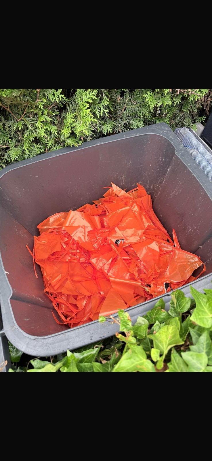 Oranje vlaggetjes, Ophalen of Verzenden, Tuinaarde