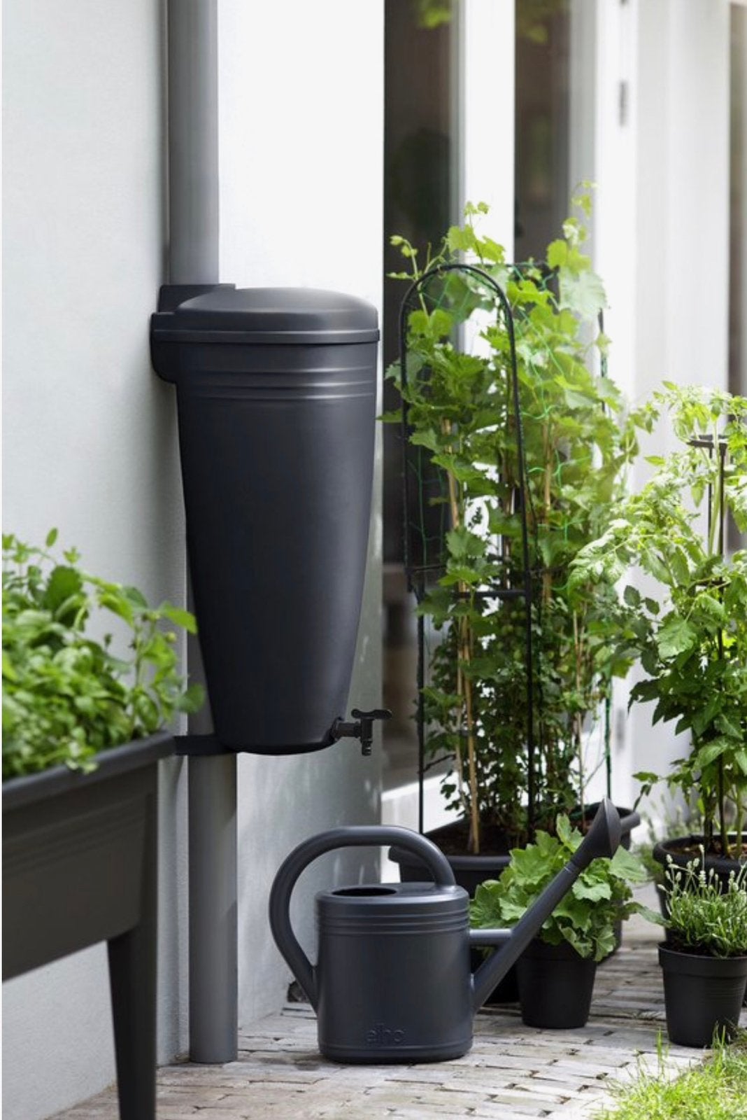 Elho Green Basics Rain Catcher 35LTR - Kunststof Regenton, Kunststof, Met kraantje, Nieuw, Ophalen of Verzenden