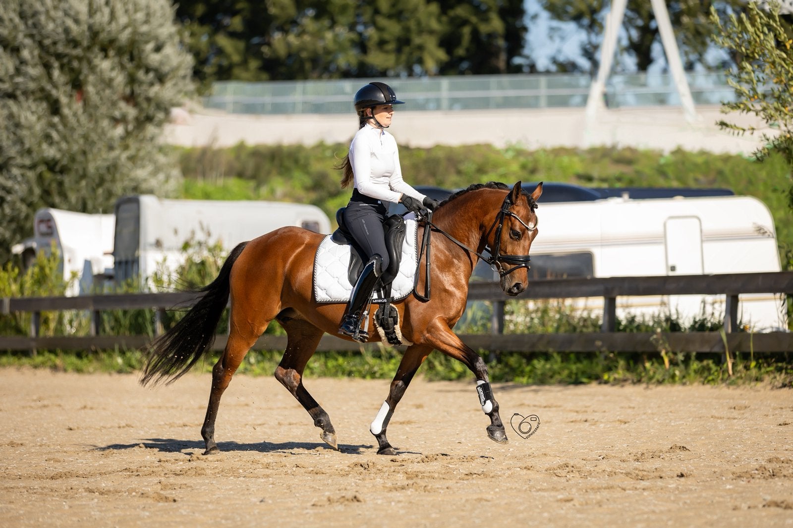 Fijne 4 jarige D pony, Dieren en Toebehoren, Merrie, Dressuurpony, 3 tot 6 jaar, D pony (1.37m tot 1.48m)