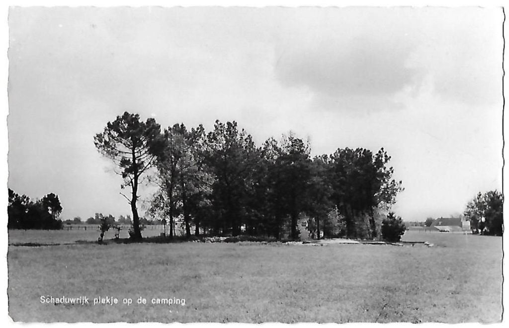 Schayk camping marga oude gelopen ansichtkaart ( 8239 ), Ophalen of Verzenden, 1960 tot 1980, Gelopen
