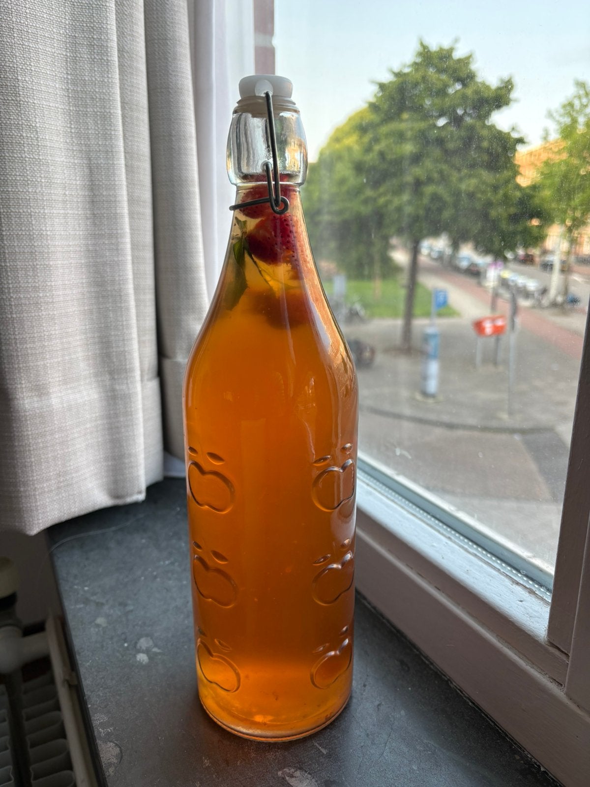 Biologische scoby kombucha, Ophalen, Zo goed als nieuw, Overige gebieden, Overige typen