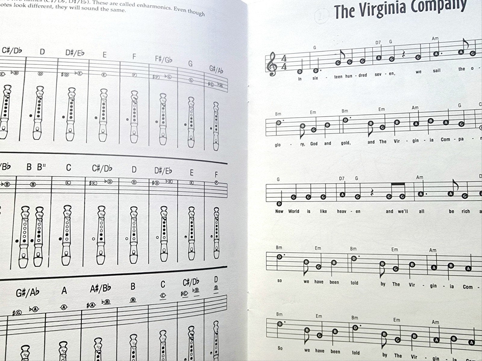Pocahontas Songbook met bladmuziek voor blokfluit. Bl20, Gebruikt, Verzenden, Filmmuziek en Soundtracks, Thema
