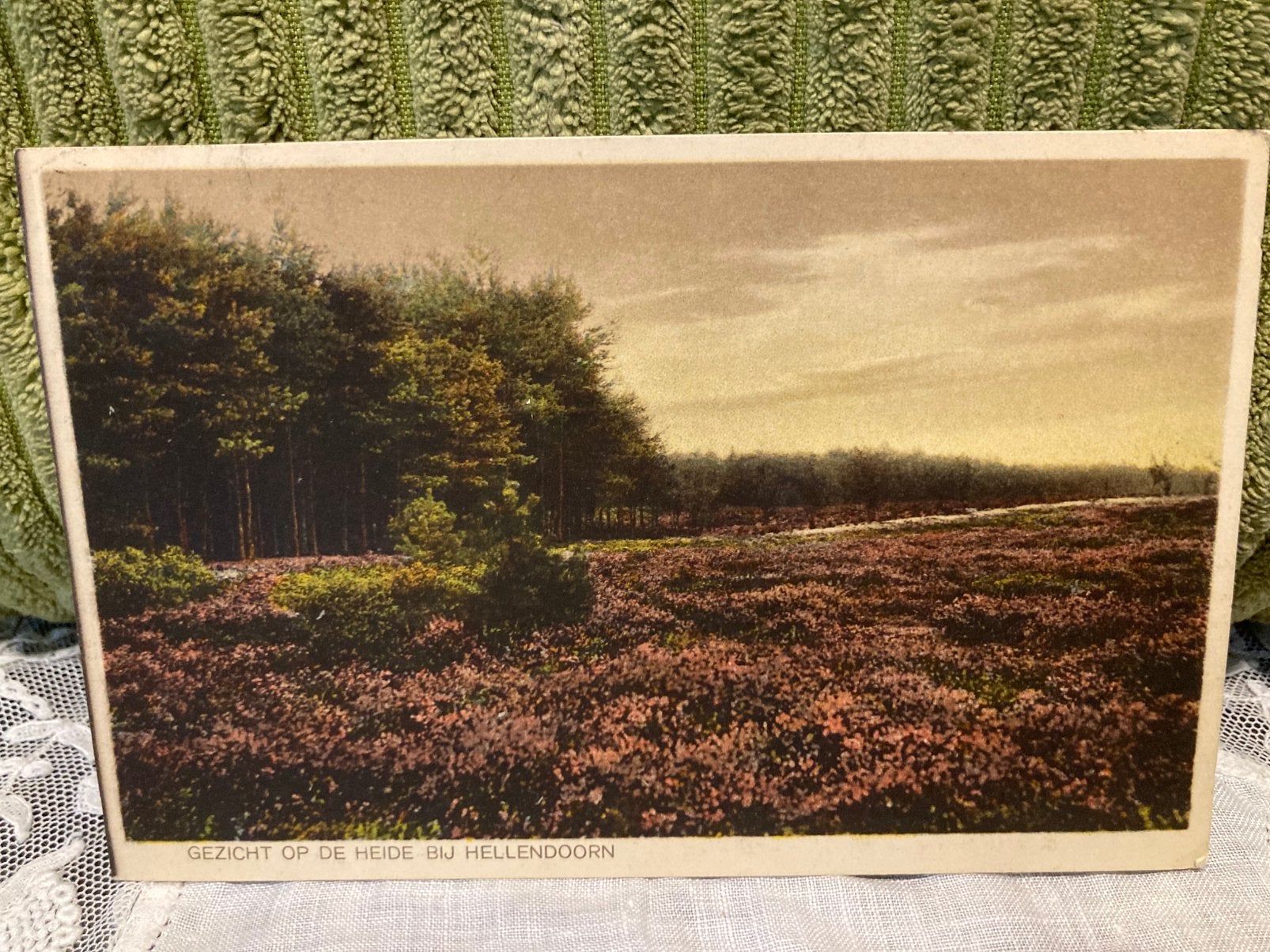 Antieke Ansichtkaart Hellendoorn heide (170826), Ophalen of Verzenden, Voor 1920, Gelopen, Overijssel