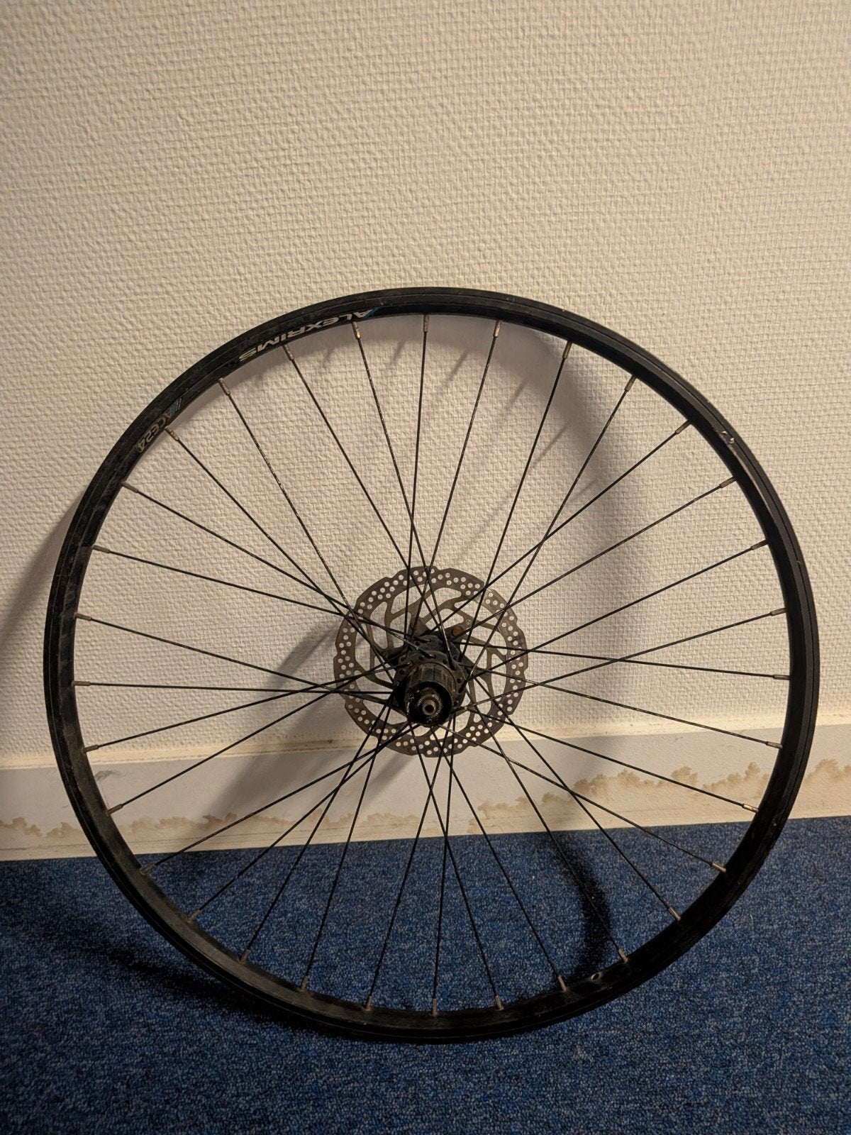 26" MTB rear wheel alexrims ace24, Ophalen, Gebruikt, Alexrims, Aluminium
