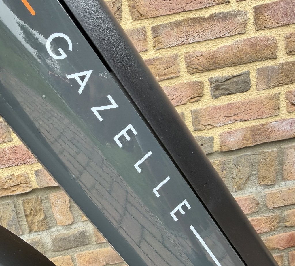 Nieuwe Gazelle Grenoble C5 in maat 46 tot 53 Belt Bosch hmb., Gazelle, Nieuw, Ophalen of Verzenden, Dinosebikes@gmail.com