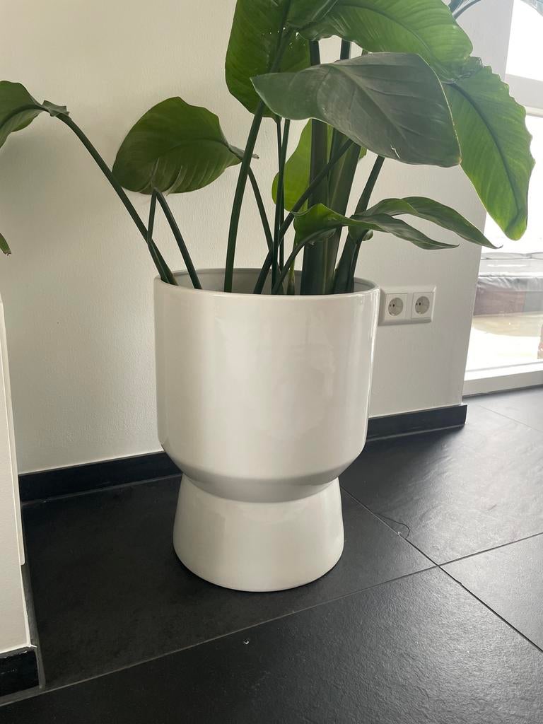 Witte Bloempot Karwei - Modern Design, Tuin en Terras, Bloempotten, Rond, Binnen, Zo goed als nieuw, Minder dan 40 cm