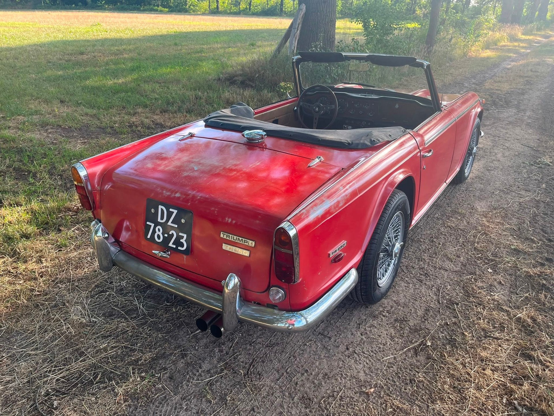 Triumph TR250 Gereviseerde motor, foto 8