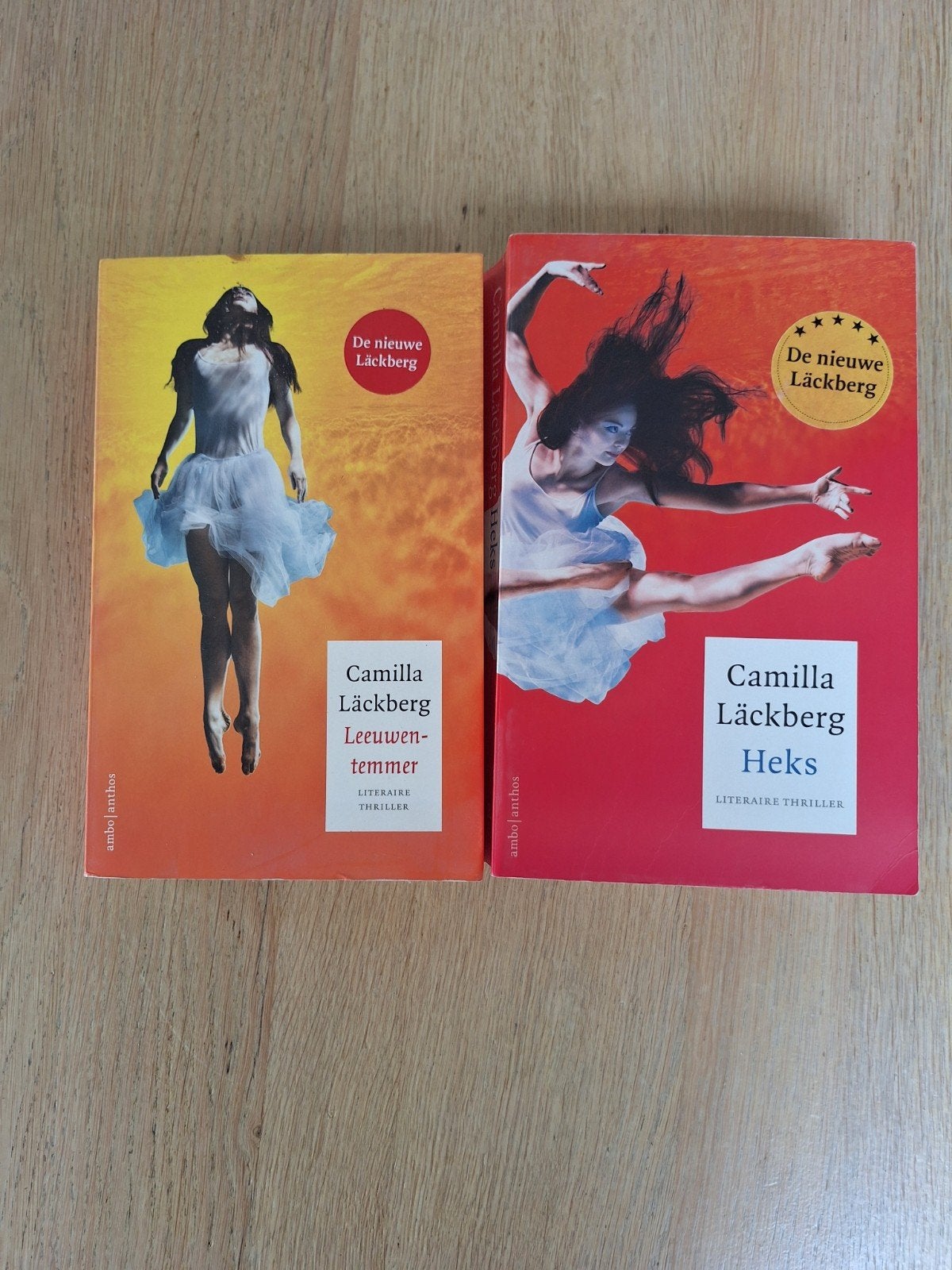 Camilla Lackberg, Boeken, Ophalen, Gelezen