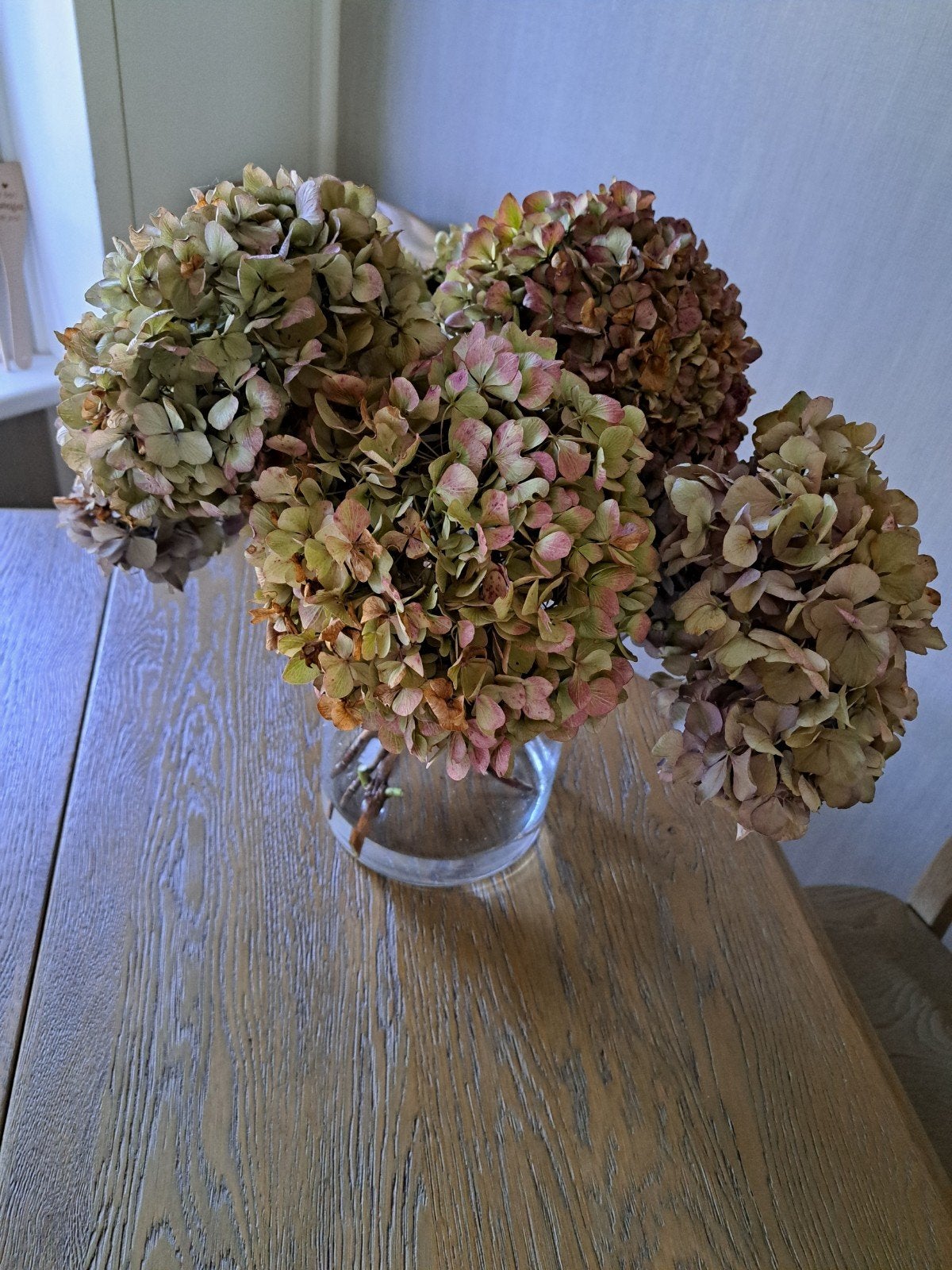 mooie  gedroogde hortensia takken, Huis en Inrichting, Ophalen of Verzenden, Zo goed als nieuw