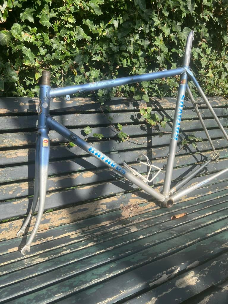 Batavus Professional maat 56cm dropout campagnolo, Ophalen of Verzenden, Zo goed als nieuw, Frame