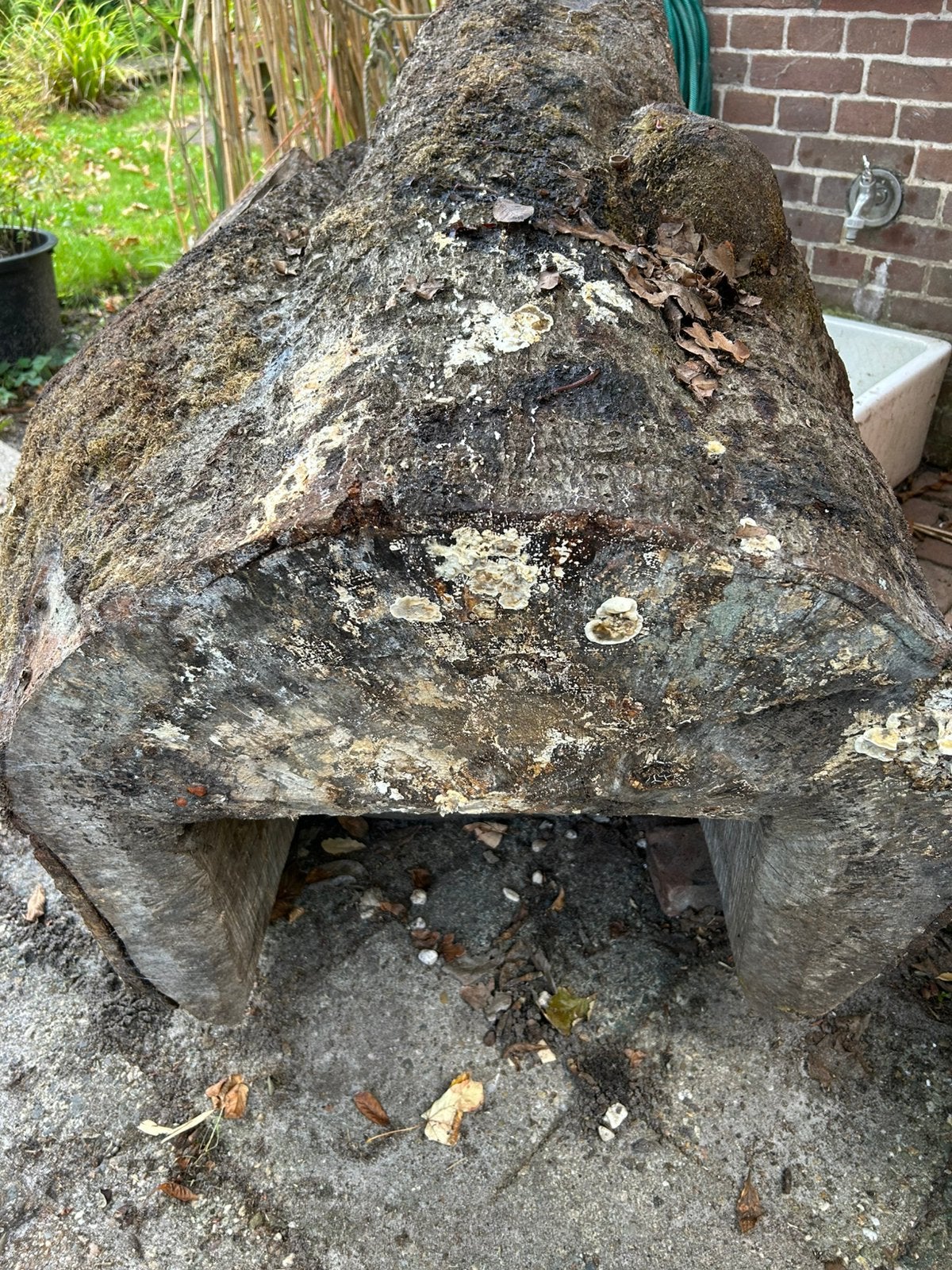Foto 4 van Hout blok moet nu weg