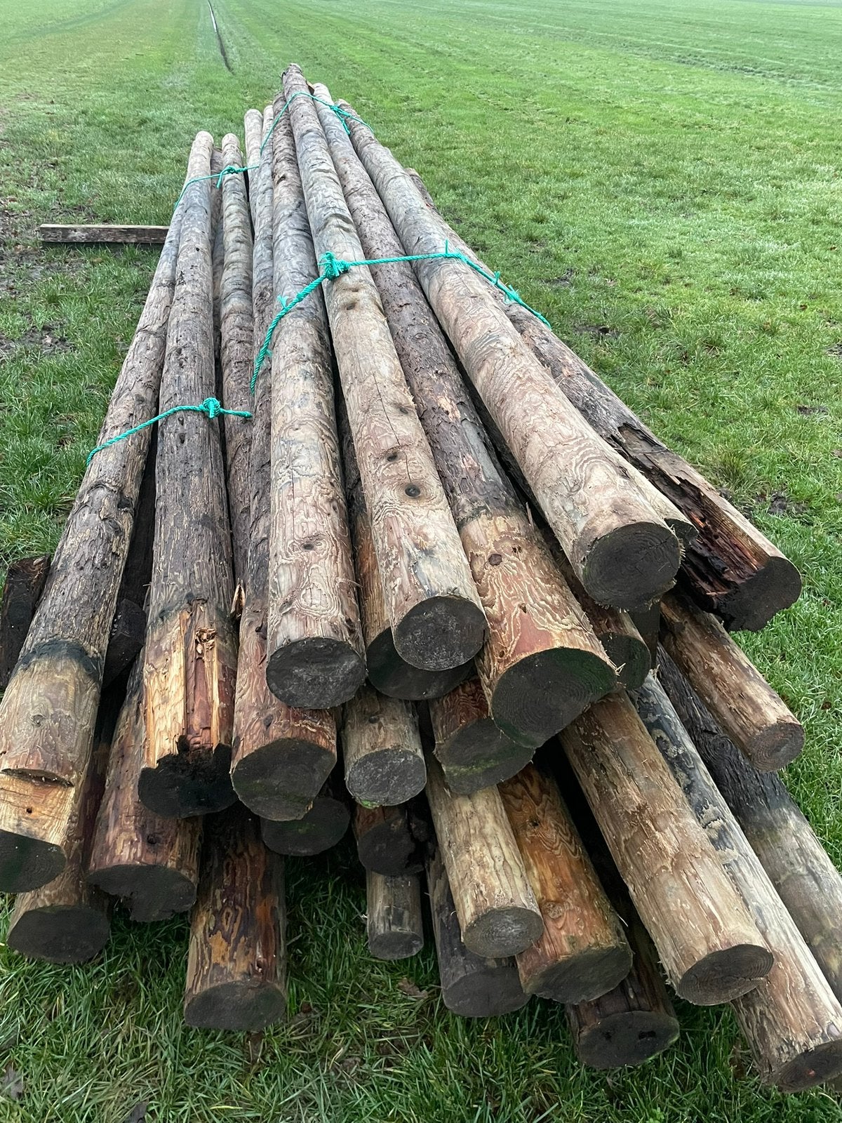 Houtenpalen meerpalen balken hout paalmutsen, Ophalen, Gebruikt, Hout