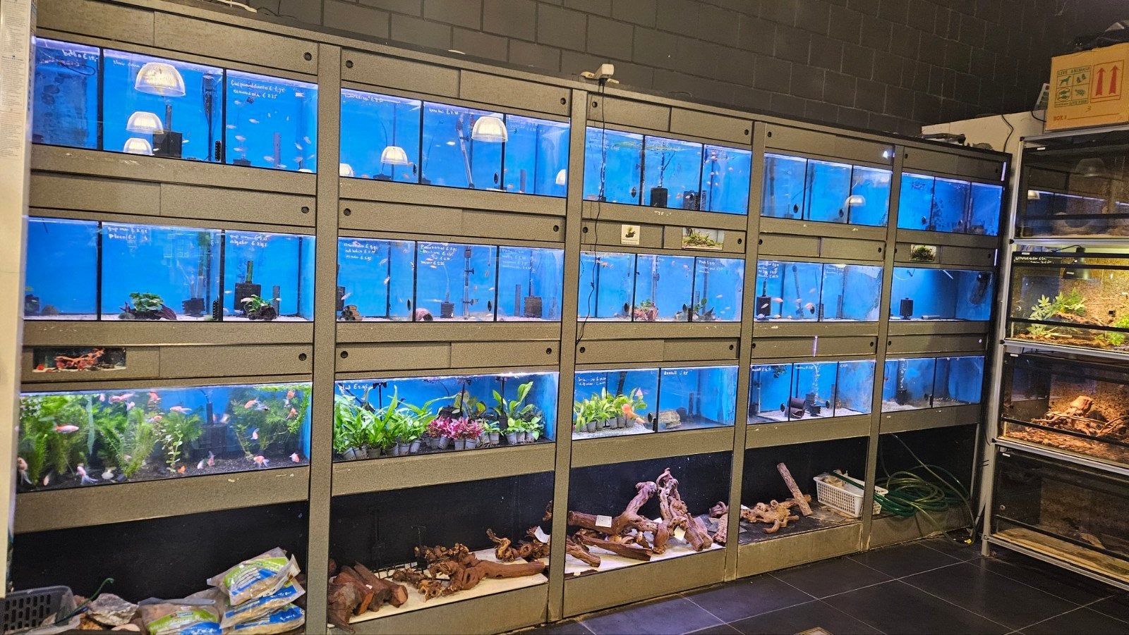 Aquarium stelling, Ophalen, Gebruikt, Leeg aquarium