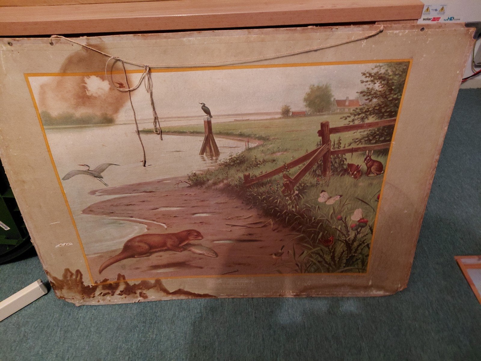schoolplaat, Ophalen of Verzenden, Natuur en Biologie