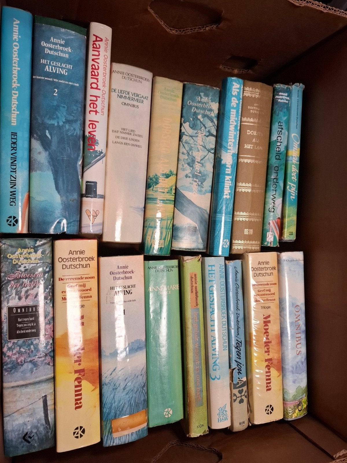 Annie Oosterbroek-Dutschun boeken - 19 stuks (doos 9), Ophalen of Verzenden, Zo goed als nieuw, Annie Oosterbroek-Dutschun, Nederland