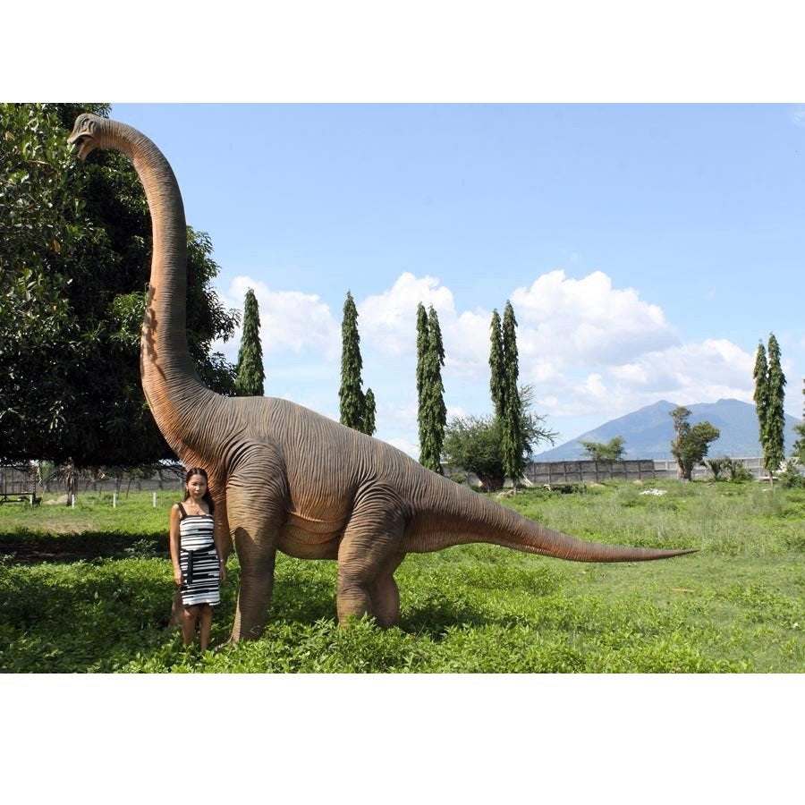 Brachiosaurus – Dinosaurus beeld hoogte 547 cm