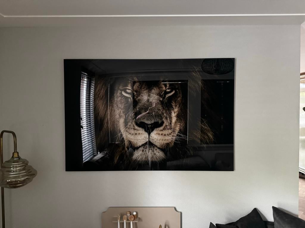 Plexiglas schilderij leeuw 150x100 cm, Huis en Inrichting, Woonaccessoires | Schilderijen, Tekeningen en Foto's, Ophalen, 125 cm of meer