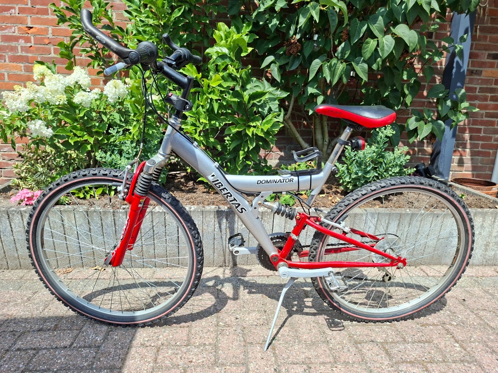 Libertas Dominator mountainbike, Ophalen, Gebruikt, Overige merken