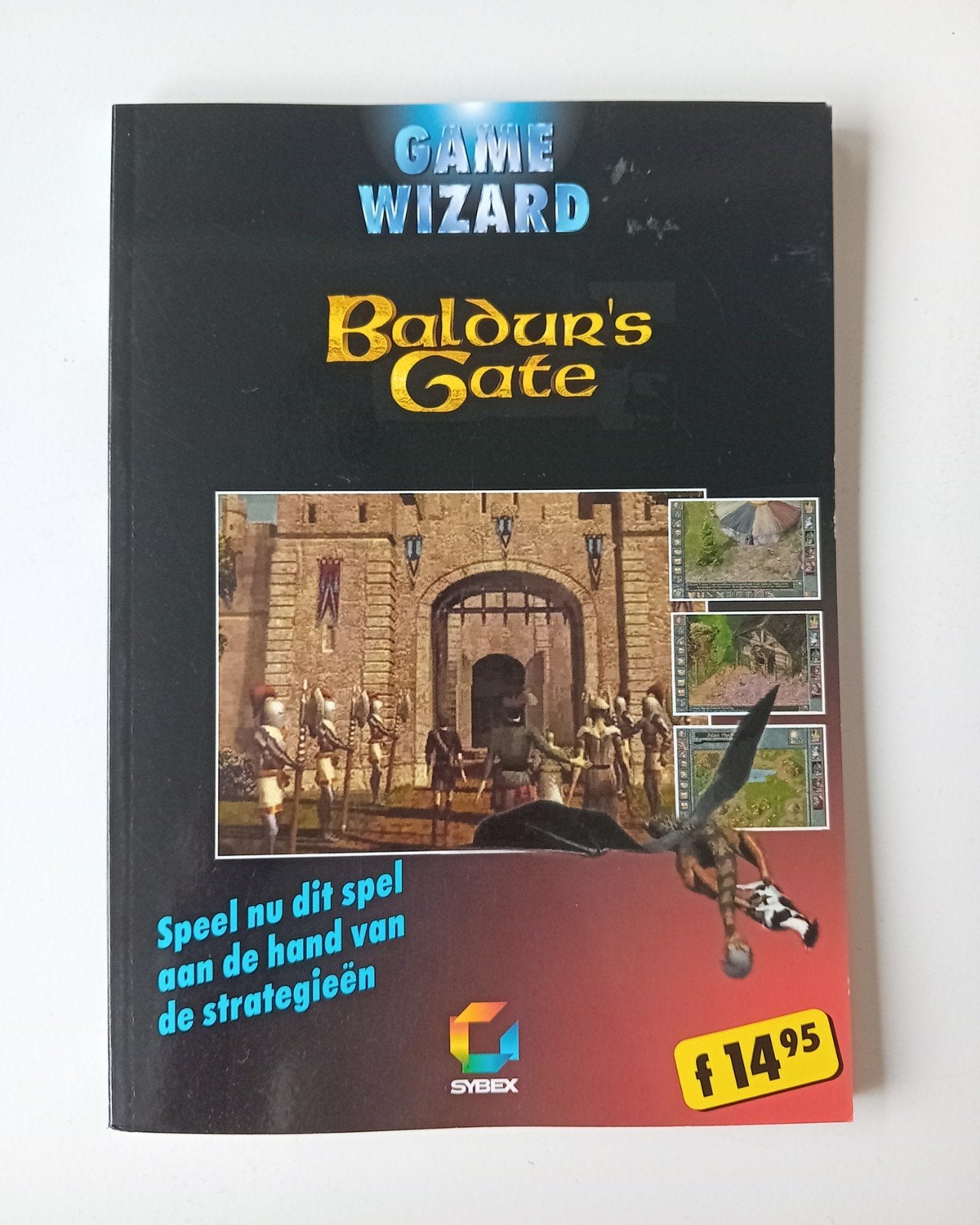 Game Wizard Baldur's Gate, Boeken, Ophalen of Verzenden, Zo goed als nieuw, Software