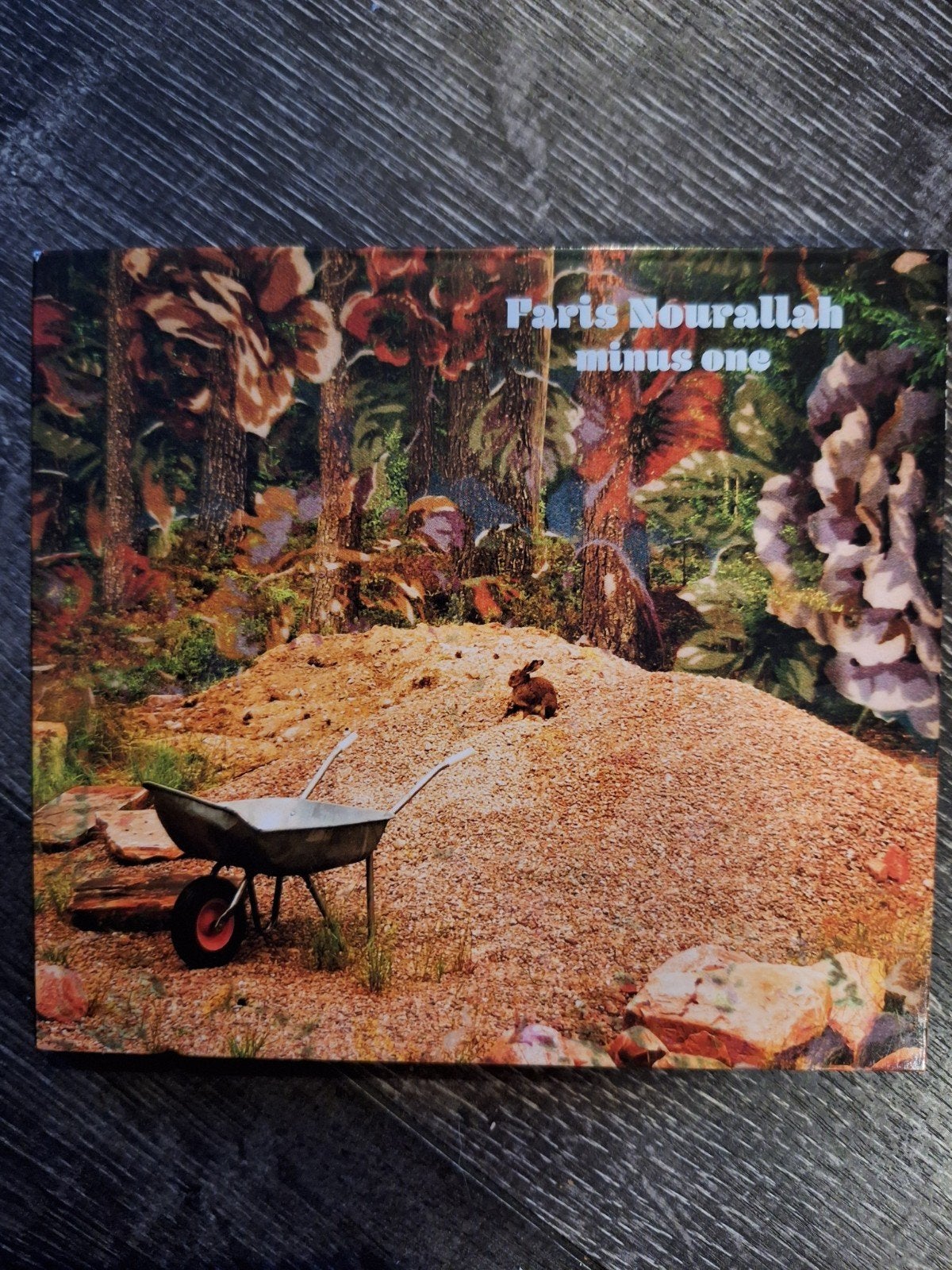 Faris Nourallah - Minus One CD (2019) - Indie Pop, Ophalen of Verzenden, 2010 - 2019, Zo goed als nieuw