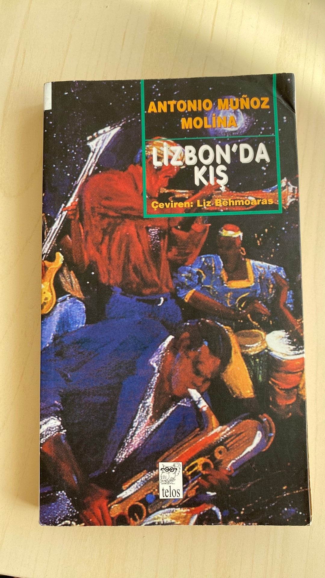 Lizbon’da Kış türkçe kitap, Ophalen of Verzenden, Gelezen