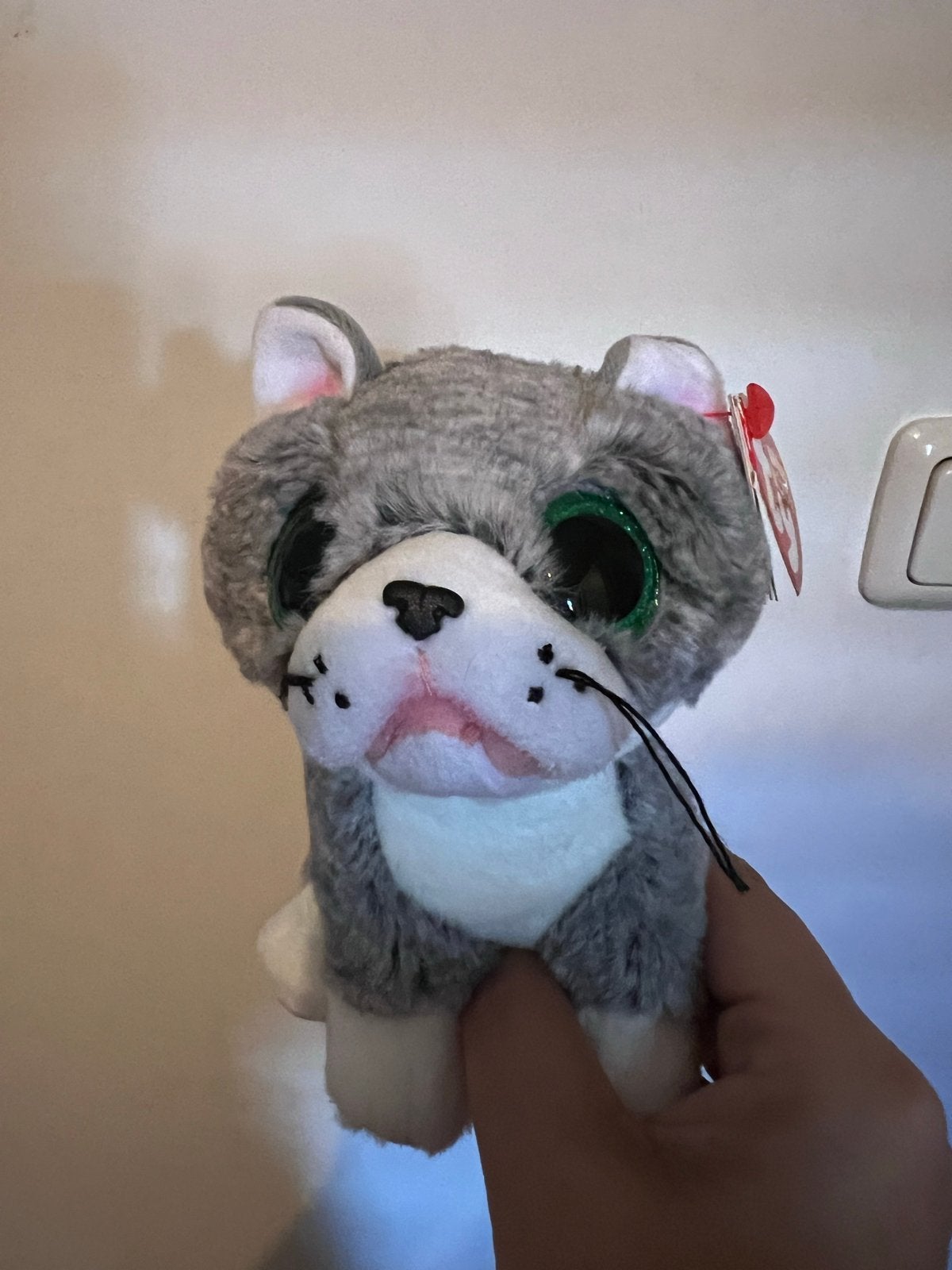 Ty Beanie Boos Kat Knuffel Grijs met Groene Ogen, Grijs, Ophalen of Verzenden, Kat, Klein (minder dan 20 cm)