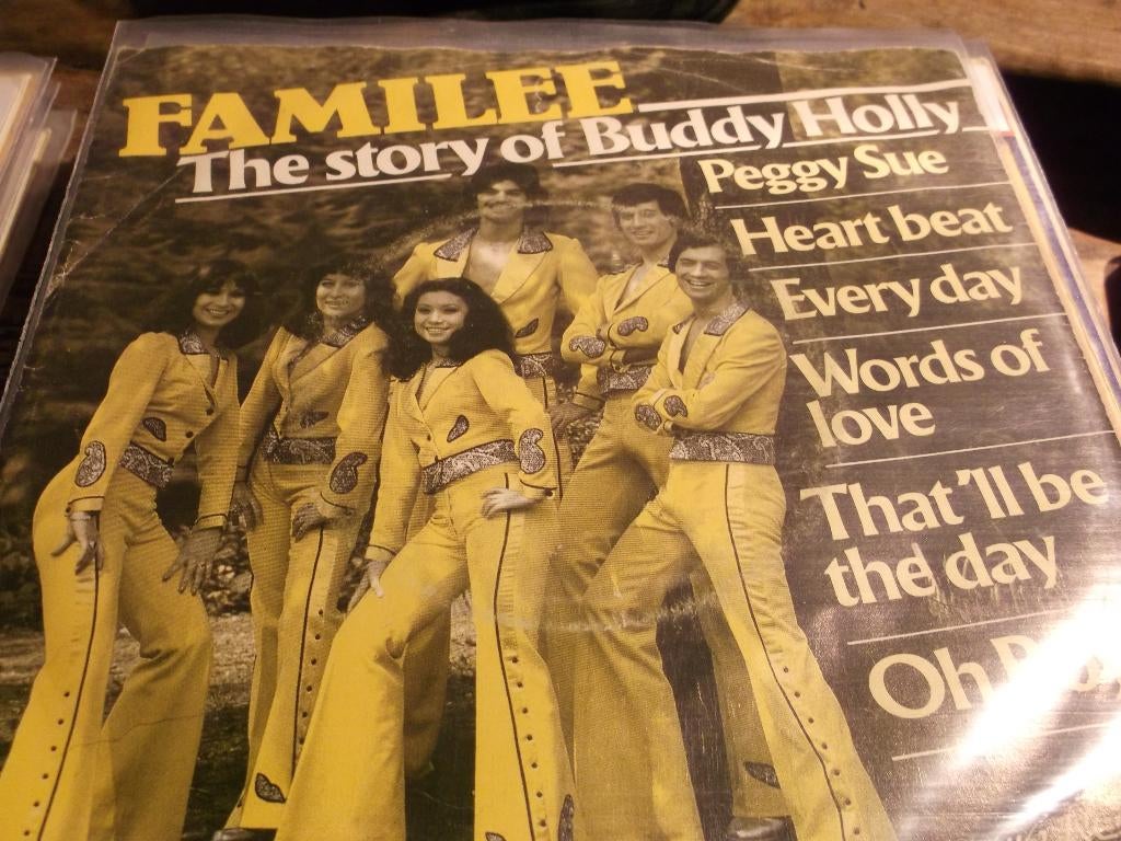 familee The story of buddy holly 214, Ophalen of Verzenden, Gebruikt, Pop