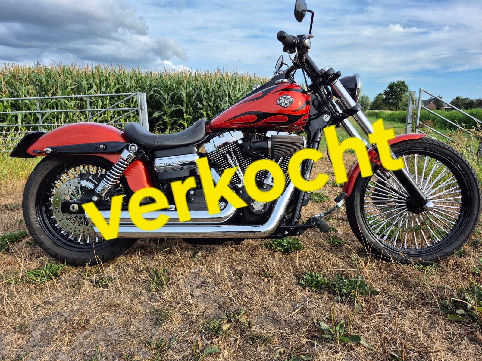 Harley-Davidson Dyna Wide Glide Custom, 2 cilinders, Gebruikt, Particulier, Meer dan 35 kW