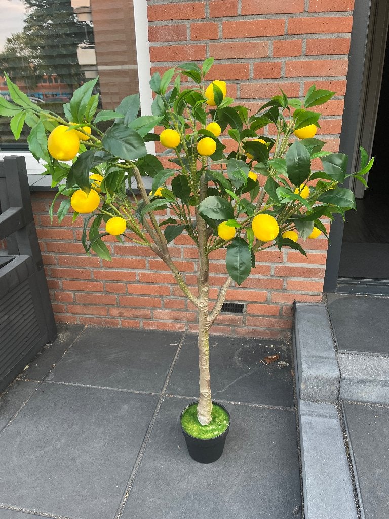 Citroen kunstboom groot nieuw, Nieuw, Ophalen of Verzenden, Kunststof, Met pot of vaas