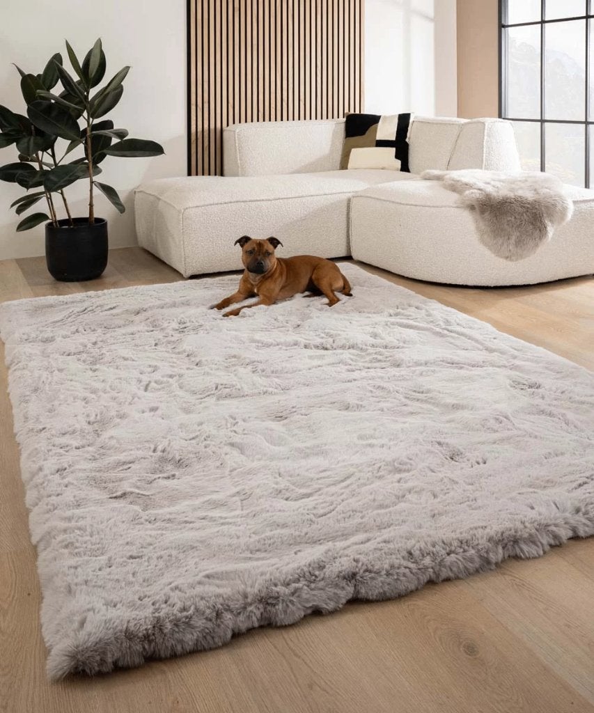 Lalee - 200 x 290 - Hoogpolig - Vloerkleed -Tapijt - Grijs, Ophalen, Gebruikt, 200 cm of meer, 200 cm of meer