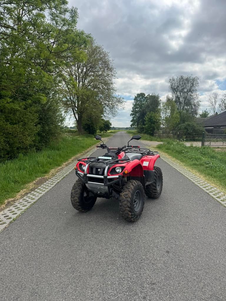 Robuuste Yamaha Grizzly 660cc, Motoren, 1 cilinder, Meer dan 35 kW