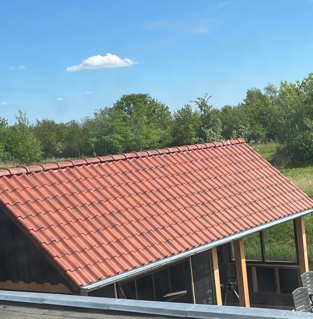 Dakpannen 20m2 +nokvorsten OVH 206 rood Rustiek/genuanceerd, Doe-het-zelf en Verbouw, Dakpannen en Dakbedekking, Ophalen, Gebruikt