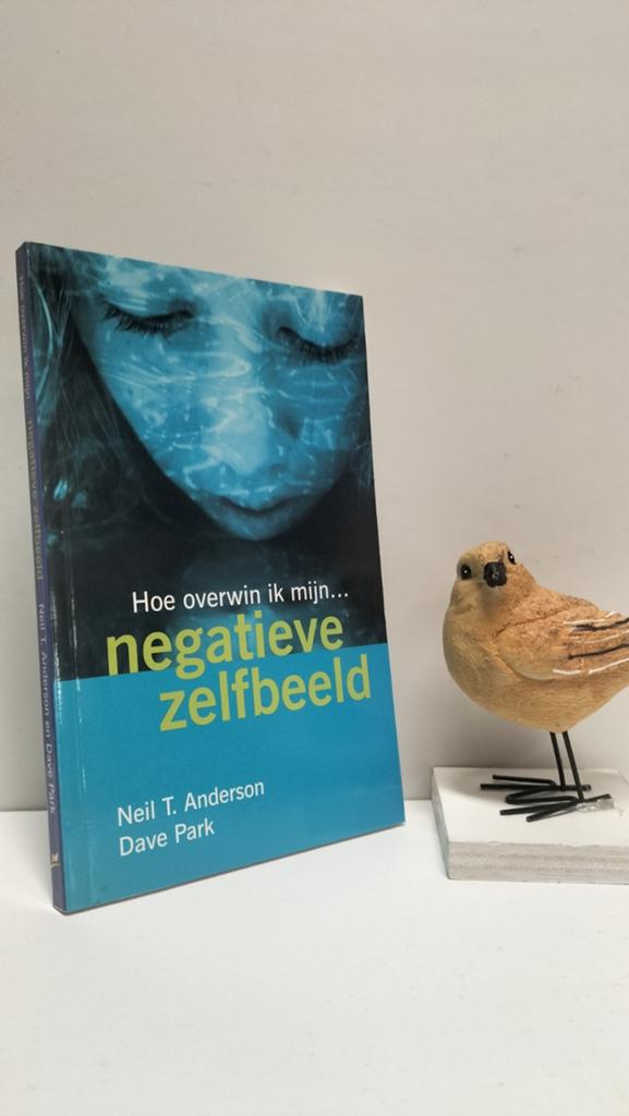 Anderson, Neil; Hoe overwin ik mijn negatieve zelfbeeld, Boeken, Psychologie, Ophalen of Verzenden, Gelezen
