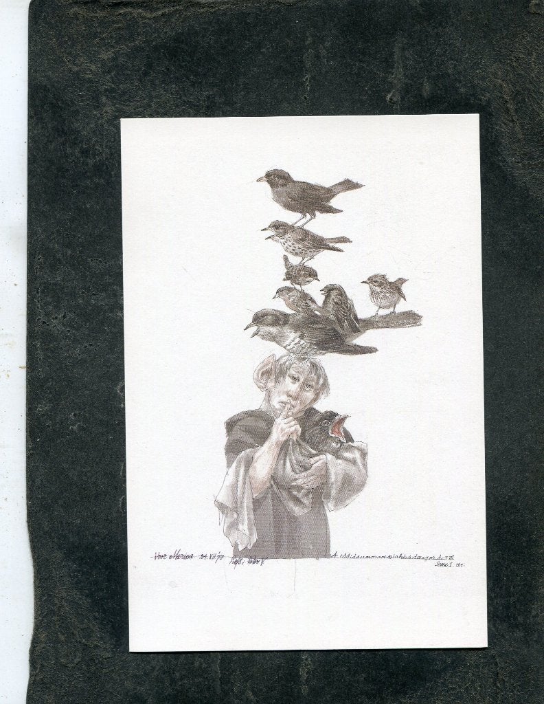 Ansicht Peter Vos - A Midsummer Night's Dream, Verzenden, 1980 tot heden, Ongelopen