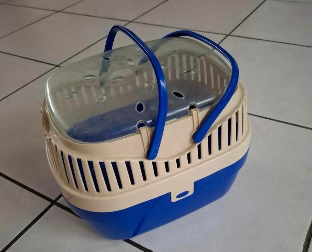 Ferplast Vervoersbox Aladino Assorti -Reismand voor knaagdie, Dieren en Toebehoren, Knaagdieren en Konijnen | Toebehoren, Ophalen of Verzenden