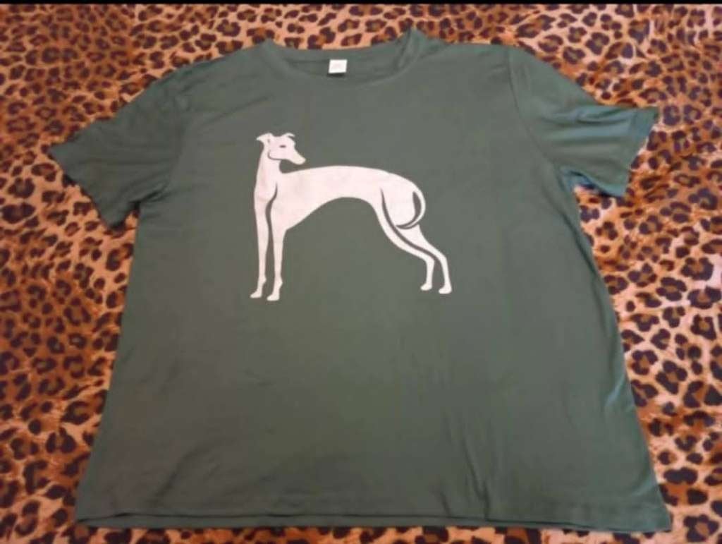Groen T-Shirt met Galgo/Greyhound, Verzenden, Maat 46/48 (XL) of groter, Nieuw, Onbekend